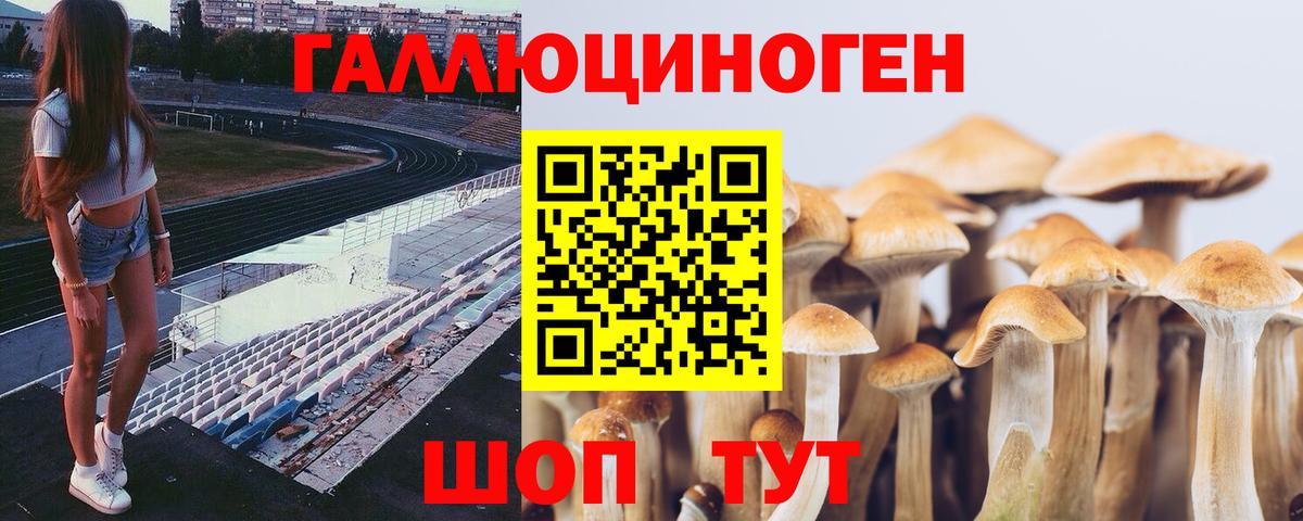 Галлюциногенные грибы GOLDEN TEACHER Шахты